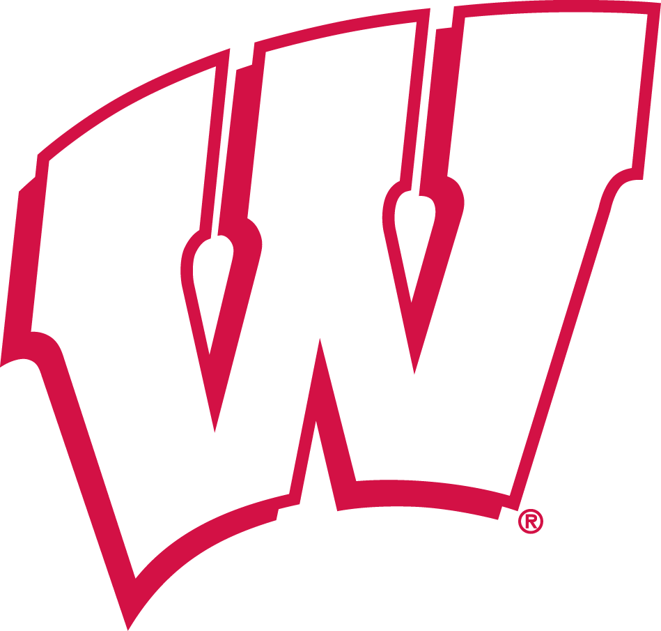 Wisconsin Badgers 1991-2017 Alternate Logo t shirts iron on transfers
